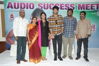 Lakshmi Raave Maa Intiki Audio Success Meet